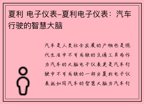 夏利 电子仪表-夏利电子仪表：汽车行驶的智慧大脑
